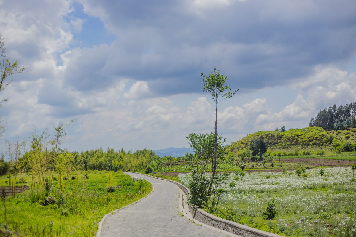 EPIT Co - Road Showcasing Pictures
